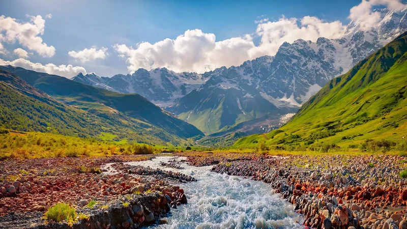 Georgia Power: The Grid's Evolution – Balancing Innovation, Our Bills, and the PSC's Blueprint for Tomorrow